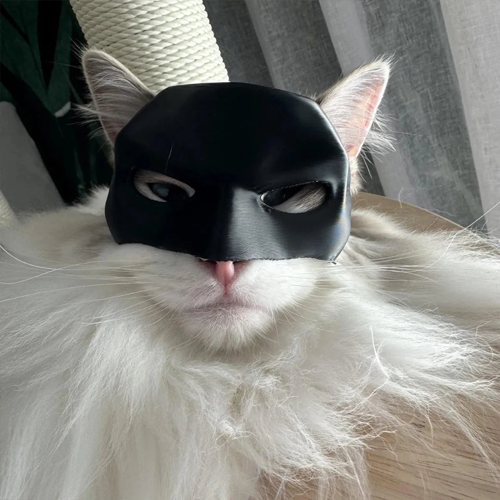 Batcat